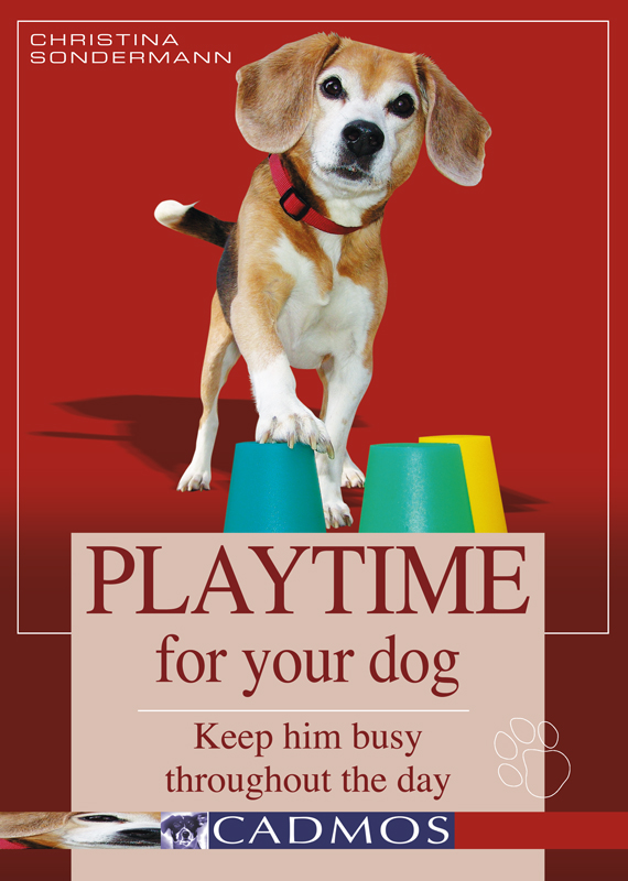 PLAYTIME FOR YOUR DOG PLAYTIME FOR YOUR DOG Keep him busy throughout the day - photo 1