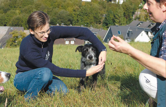 Having fun together playing enriches the relationship between dog and owner - photo 8