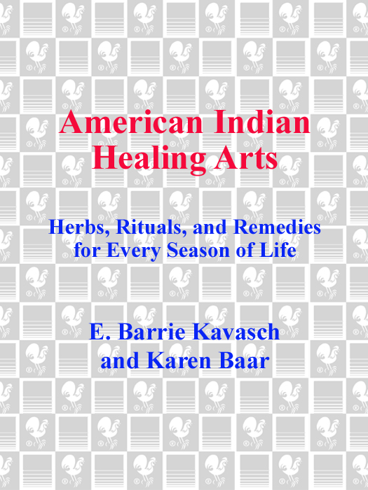 AMERICAN INDIAN HEALING ARTS A Bantam Book April 1999 All - photo 1