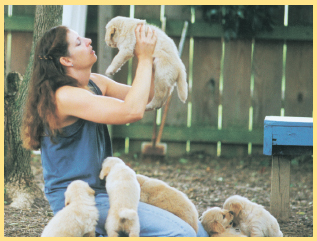 About the Author Miriam Fields-Babineau is a professional animal trainer and - photo 2