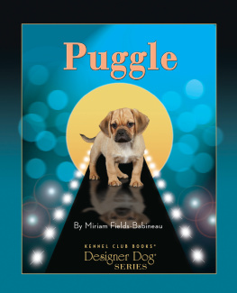 Miriam Fields-Babineau - Puggle