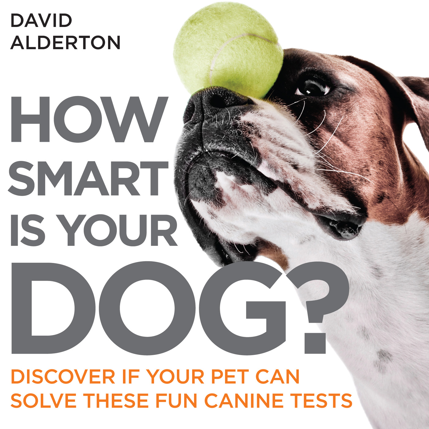 How Smart Is Your Dog - image 1