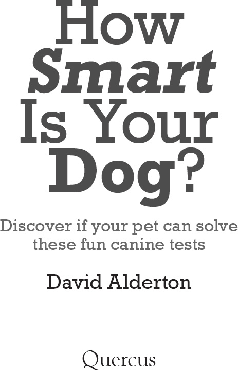 How Smart Is Your Dog - image 3