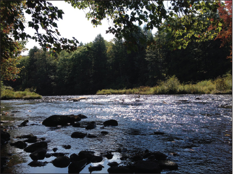 Tobyhanna Creek Pennsylvania Authors Note B ecause both men and women - photo 5