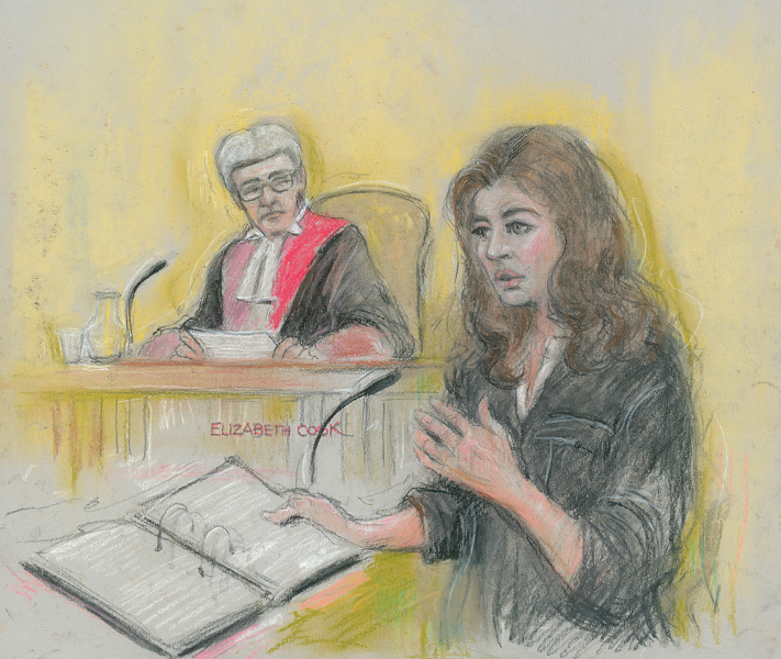 Courtroom Art In The Dock with the Rich and Famous - image 1