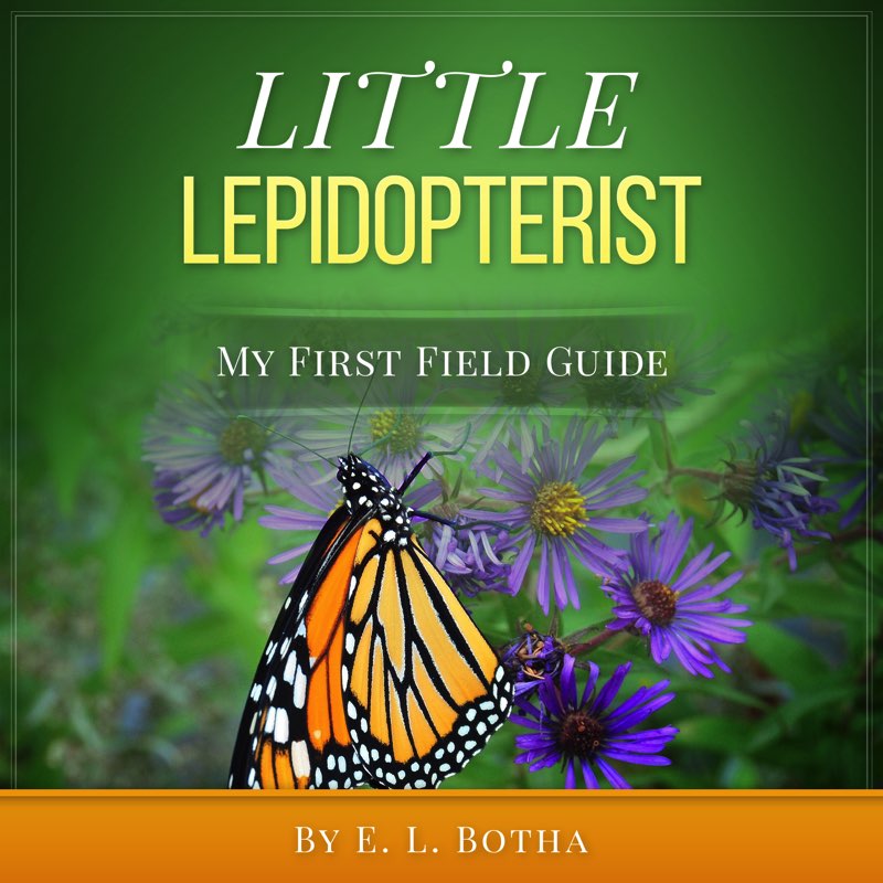 Little Lepidopterist My First Field Guide E L Botha Contents C opyright - photo 1