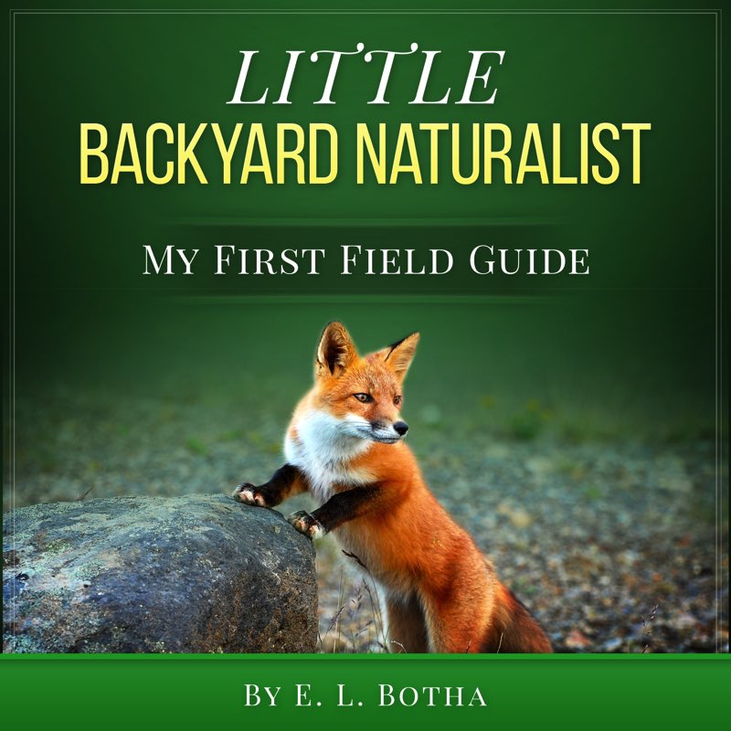 Little Backyard Naturalist E L Botha Contents C opyright 2016 by E L - photo 1