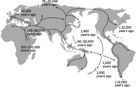 This map shows the spread of modern Homo sapiens out of Africa with approximate - photo 6