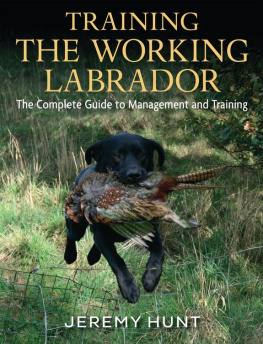 Jeremy Hunt - Training The Working Labrador: The Complete Guide To Management And Training