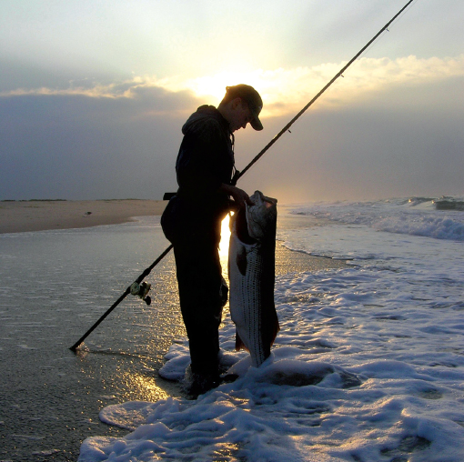 Surf fishing is a solitary pursuit The angler a seemingly endless shoreline - photo 6