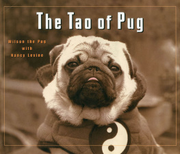 Nancy Levine The Tao of Pug