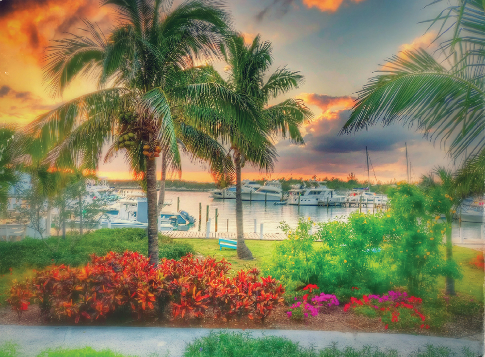 Orchid Bay Resort and Marina Abacos Bahama Islands taken by Steve Stresau - photo 3