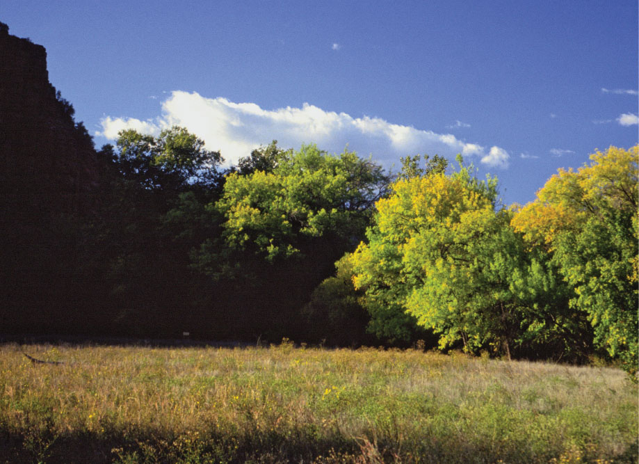 Riparian meadow along the Eagles Nest Trail History Dedicated in 1991 Red - photo 1