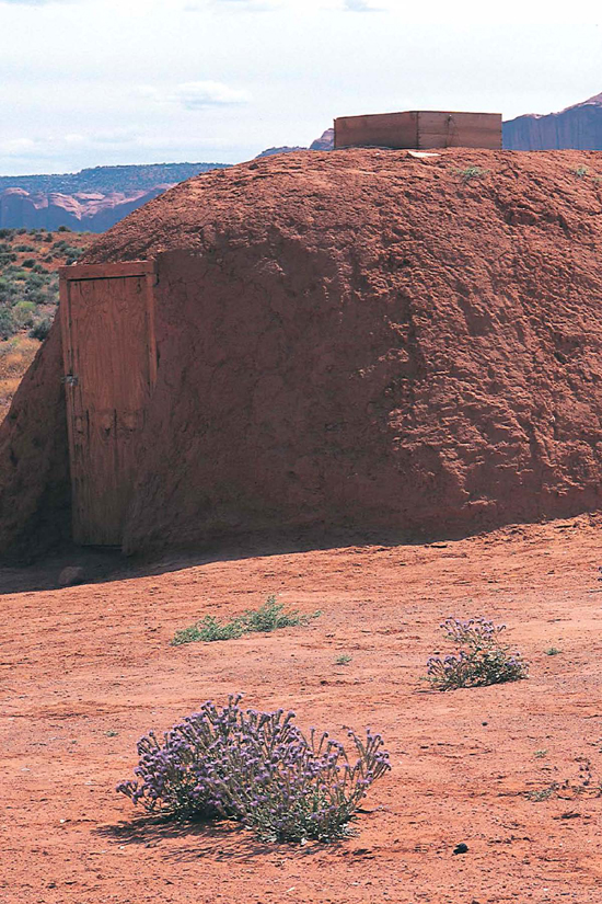 The Navajo built their homes using the materials around them CHAPTER ONE A - photo 4