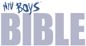 Niv Boys Bible - image 1