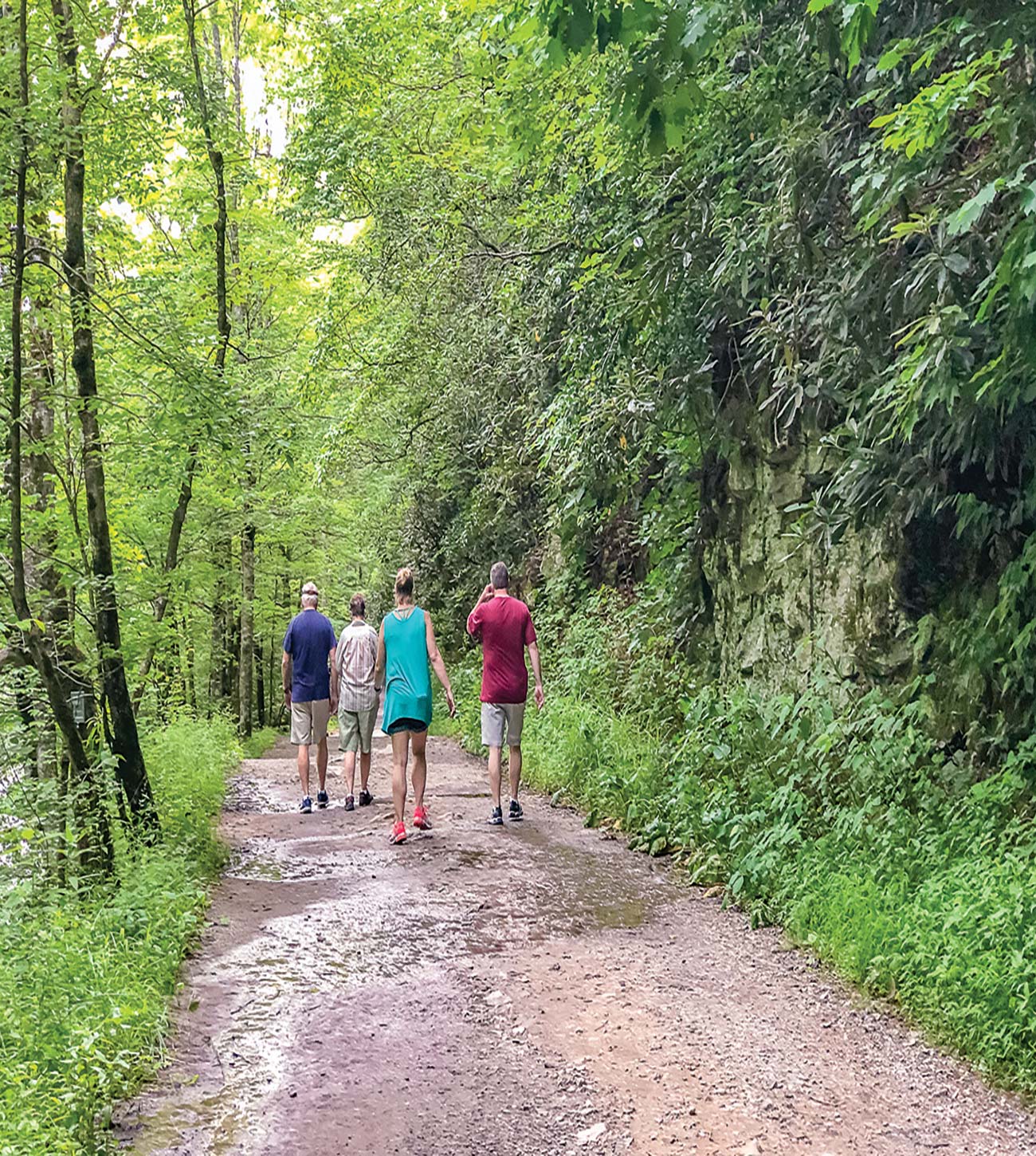 hiking in the Smokies maple tree in front of Cable Mill - photo 5