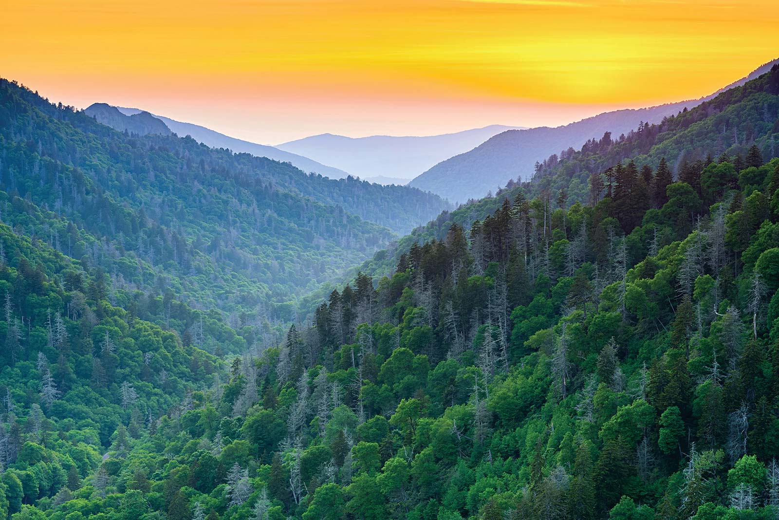 Newfound Gap after sunset in the summer The national parks are called Americas - photo 7