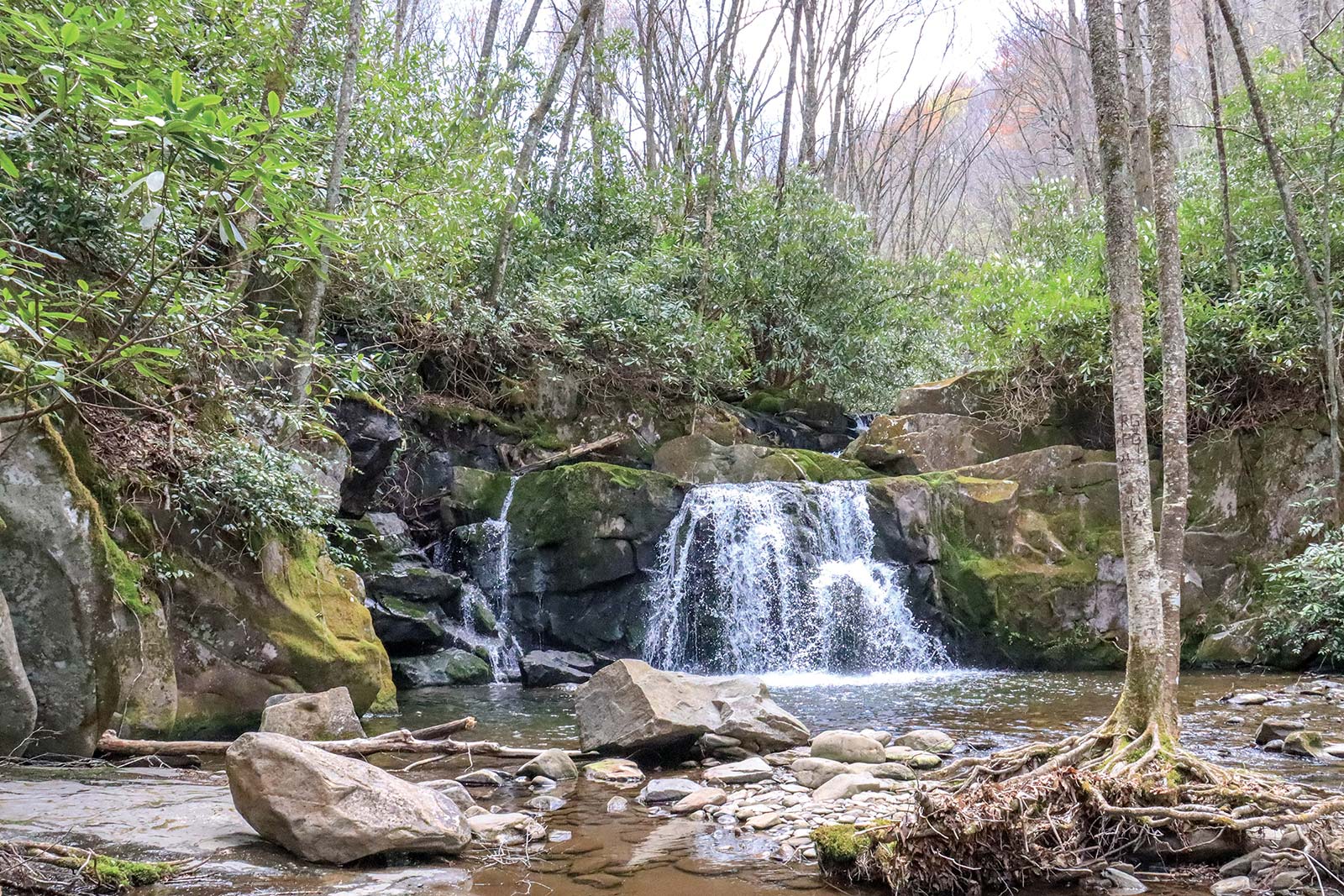 Indian Flats Falls Hi-Wire Brewing in Asheville Mountain Farm Museum near - photo 11