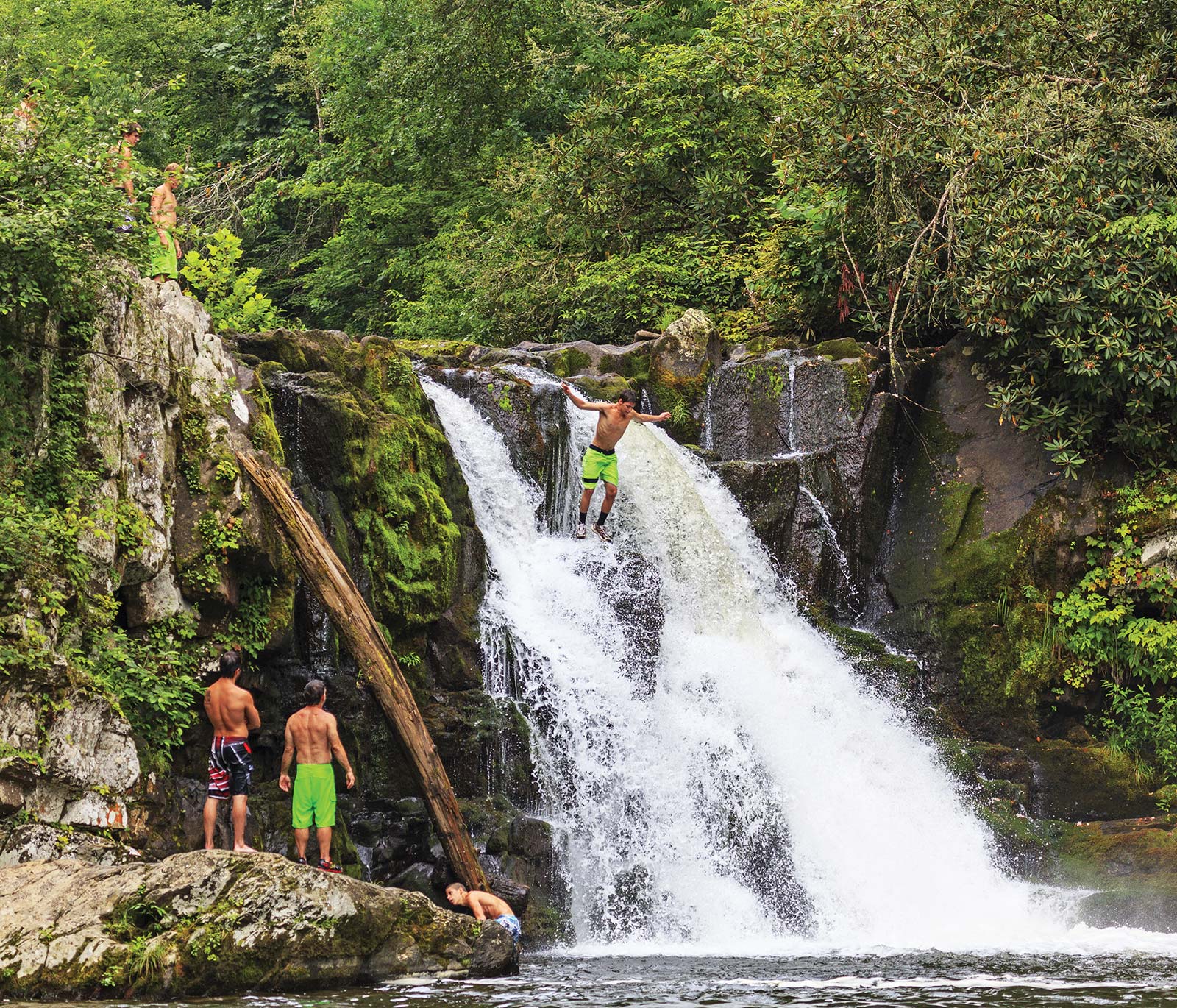 There are tons of hikes in the Smoky Mountains so why not hit the trail and - photo 19