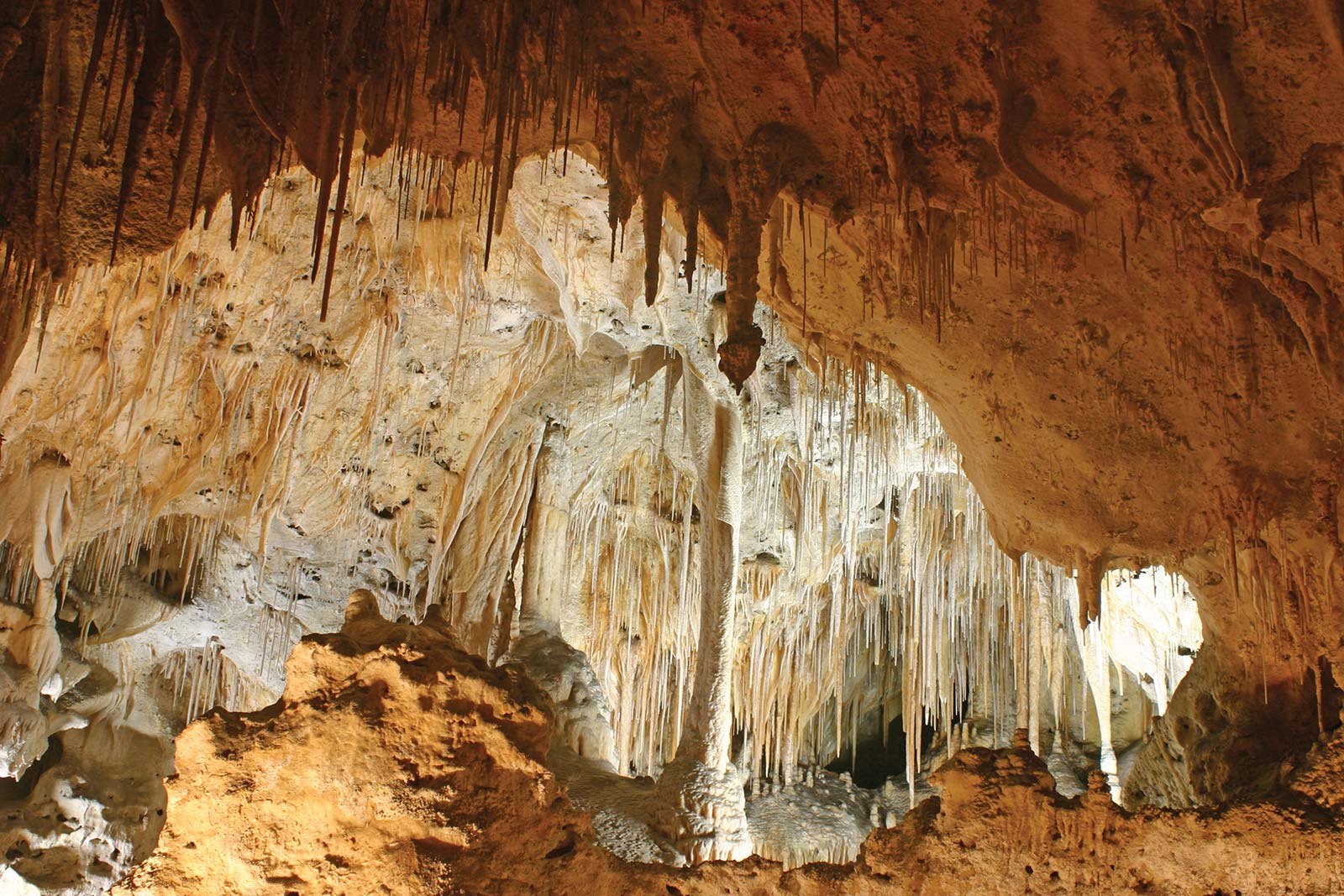 Take in extraordinary landscapes Explore the undulating gypsum dunes of - photo 14