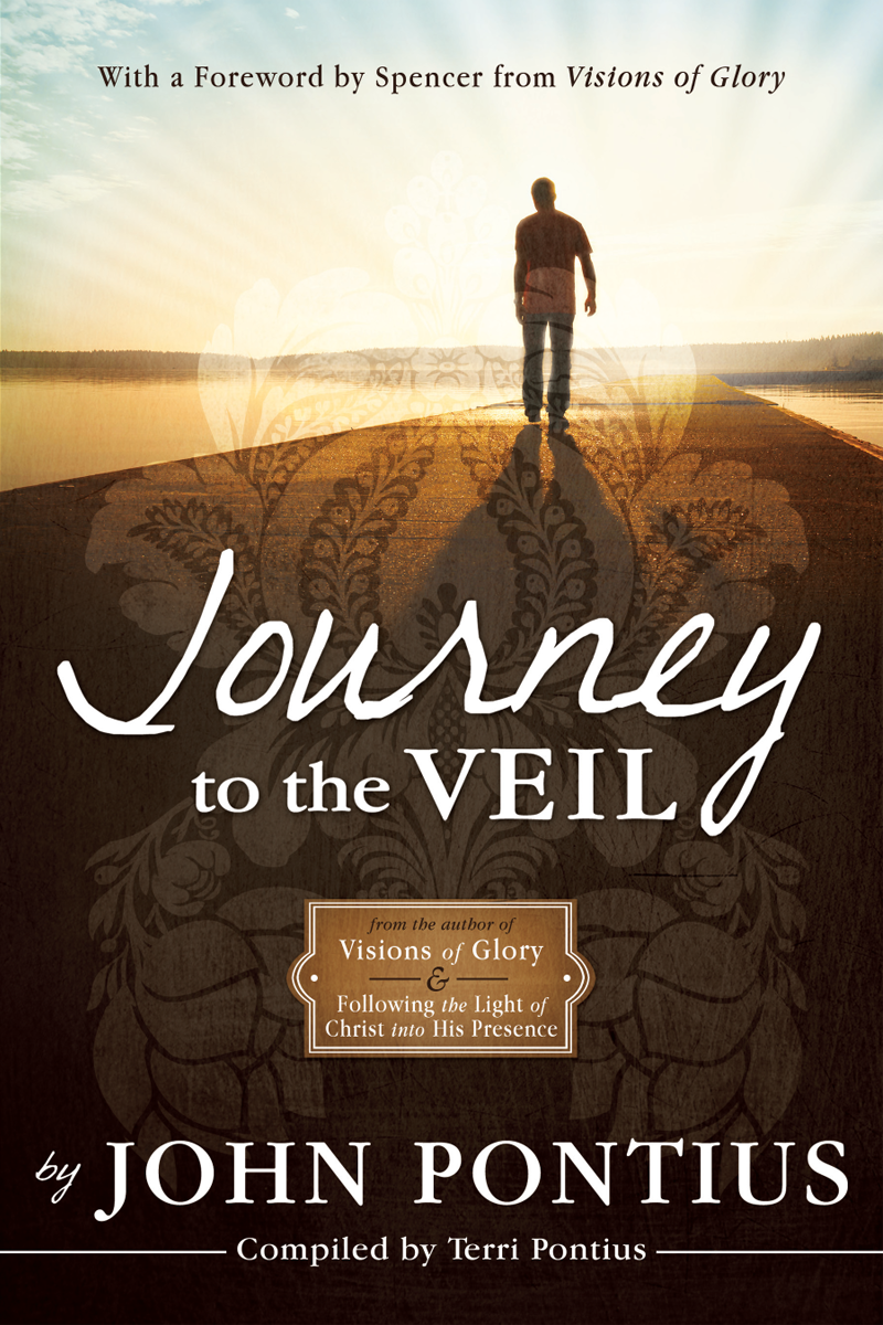 Praise for Journey to the Veil For all who love to bask in the light of shared - photo 1