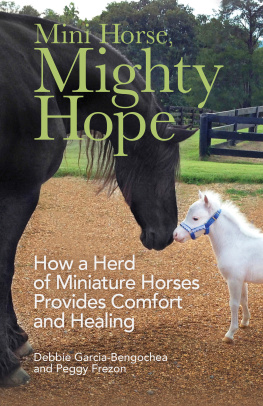 Debbie Garcia-Bengochea - Mini Horse, Mighty Hope: How a Herd of Miniature Horses Provides Comfort and Healing