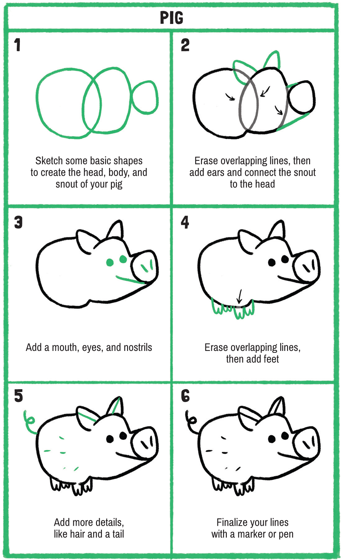 Show-How Guides Drawing Animals The 7 Essential Techniques 19 Adorable Animals Everyone Should Know - photo 28