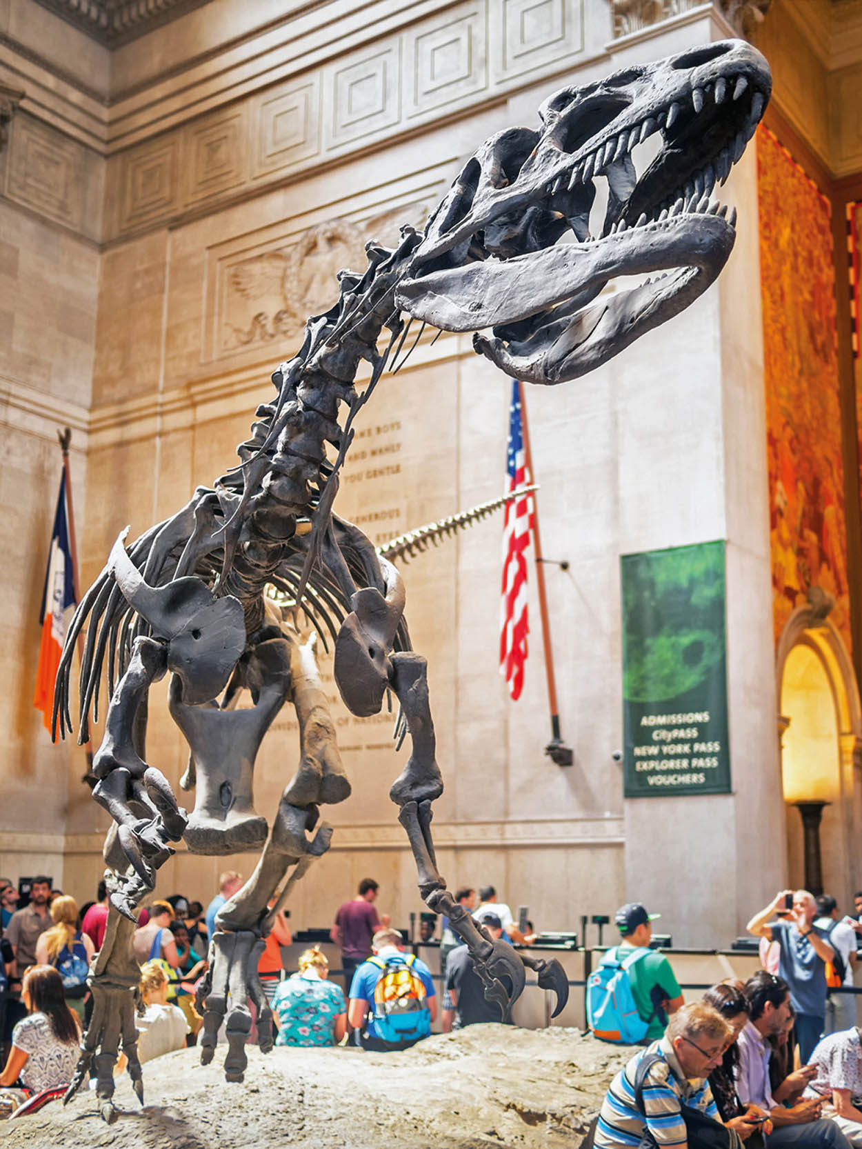 Shutterstock 7 American Museum of Natural History From dinosaurs to planets - photo 10