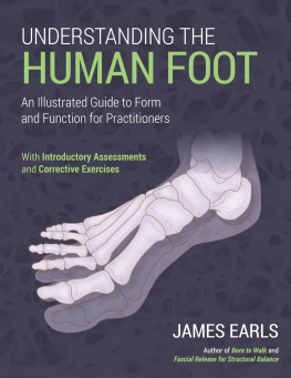 James Earls - Understanding the Human Foot: An Illustrated Guide to Form and Function for Practitioners