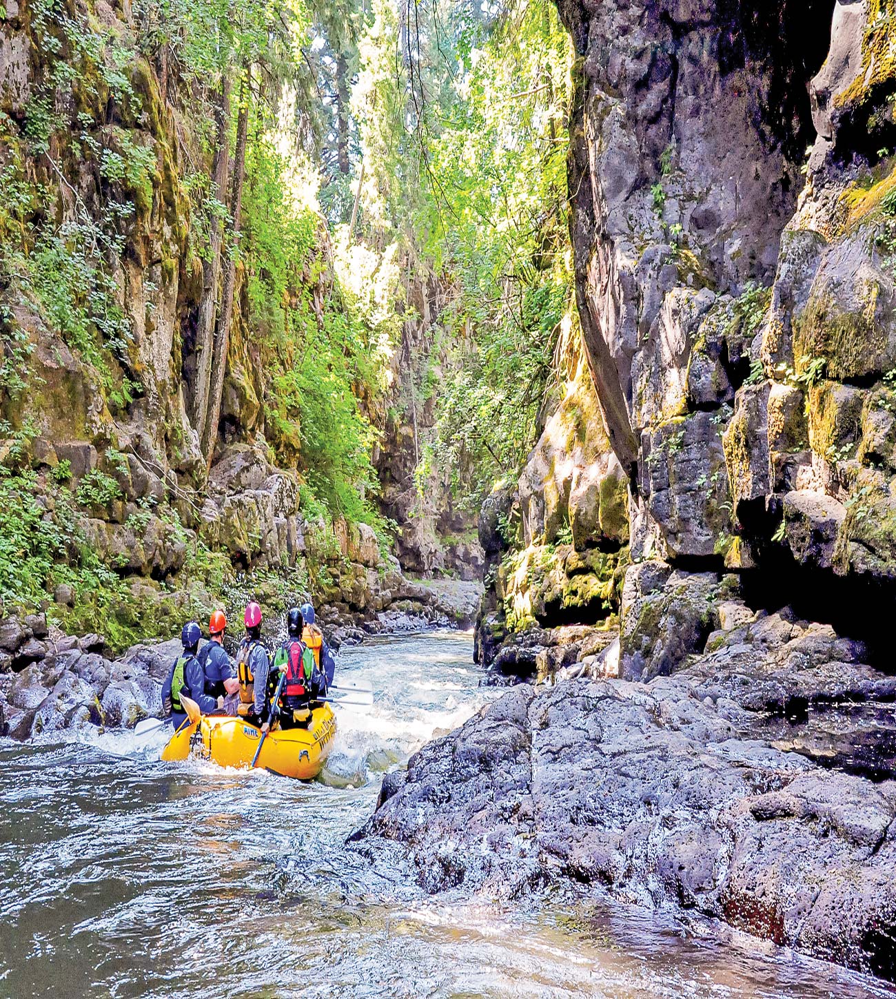 rafting the White Salmon River vineyard in the Columbia River Gorge The - photo 9