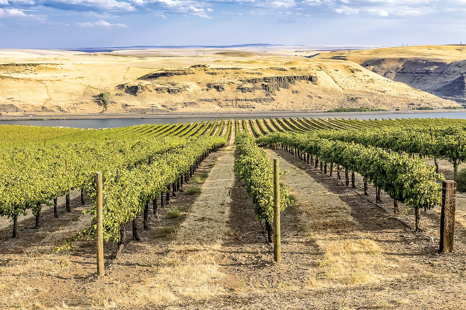 vineyard in the Columbia River Gorge The adventure of your dreams is - photo 10