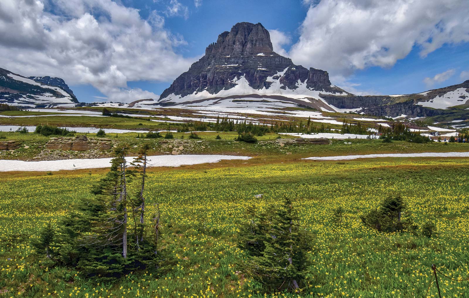 the highlight of the drive and tour the paved interpretive trail trail - photo 7