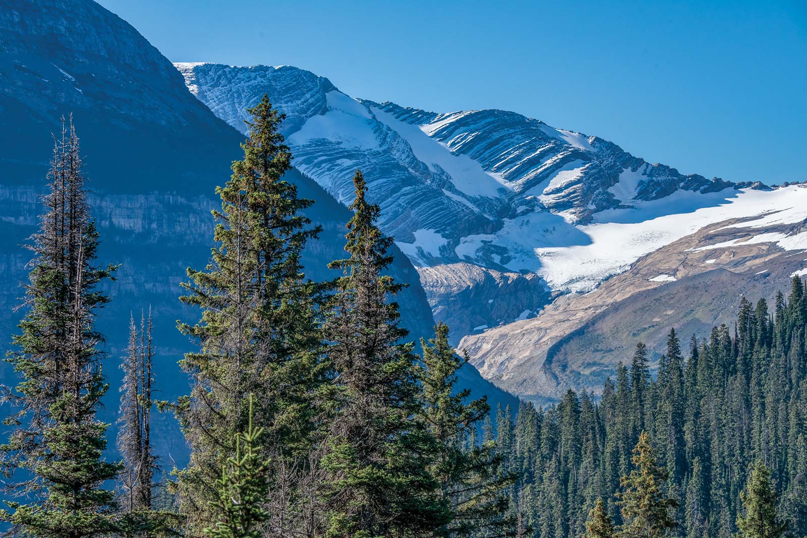 Descend the west side of Going-to-the-Sun Road through the East Side Tunnel and - photo 9