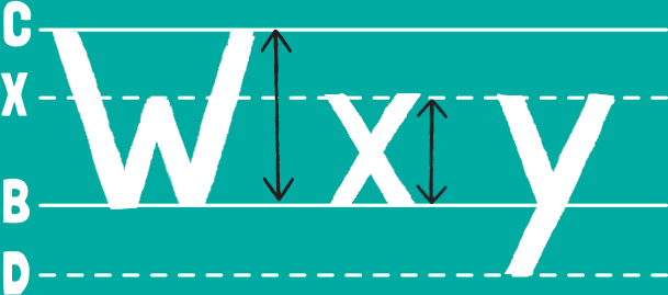 Cap Line C - the top of a capital letter X Line X - roughly the top of a - photo 13