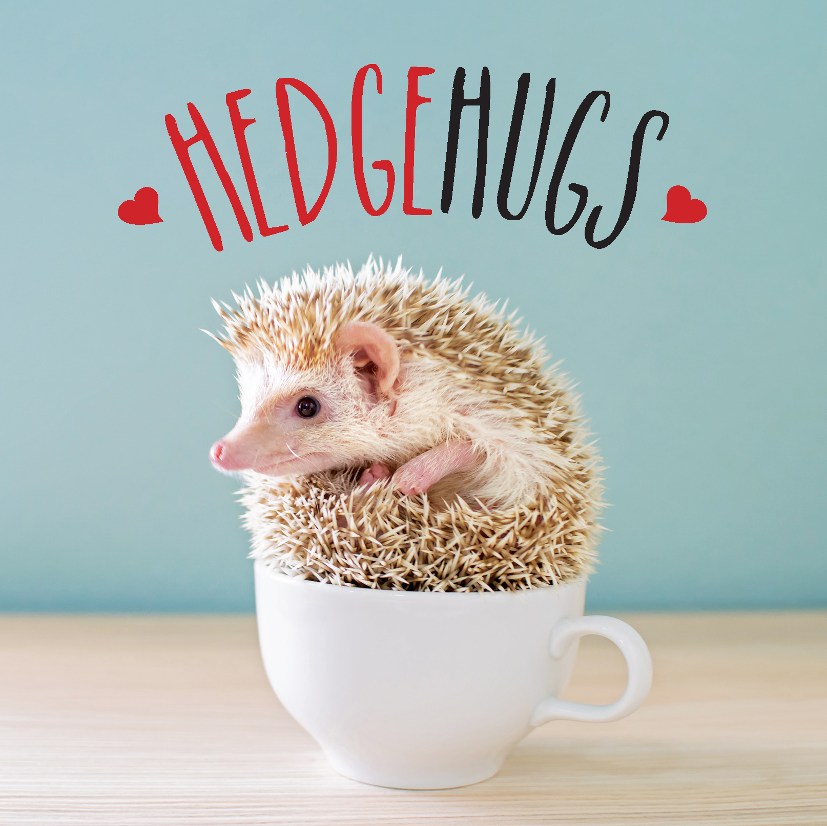 HEDGEHUGS copyright 2020 by Summersdale Publishers Ltd All rights reserved - photo 1