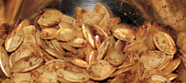 Roasted pumpkin seeds are a tasty snack RACHEL TAYSE The largest seed bank - photo 9