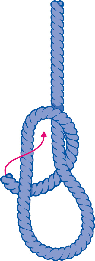 My First Book of Nautical Knots A Guide to Sailing and Decorative Knots - image 8
