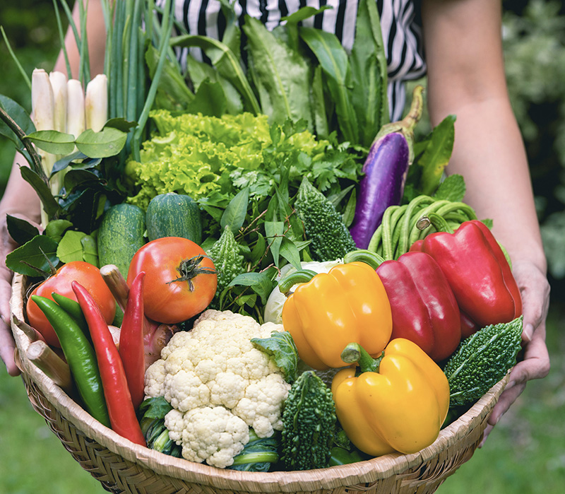 Few things are more rewarding than harvesting homegrown vegetables from ones - photo 2