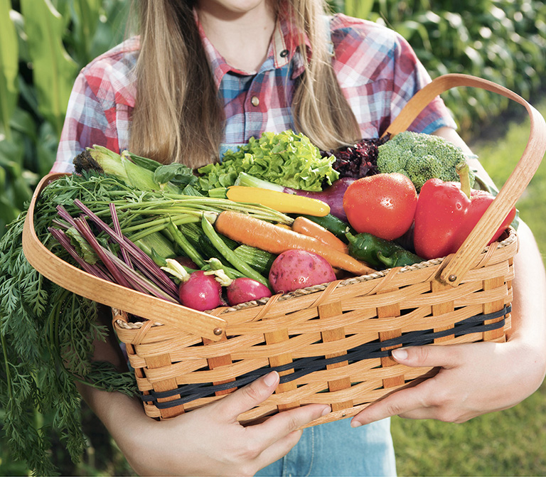 Few things are more rewarding than harvesting homegrown vegetables from ones - photo 2