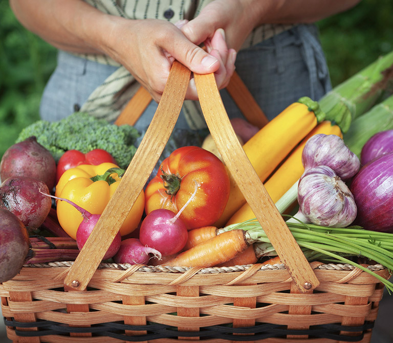 Few things are more rewarding than harvesting homegrown vegetables from ones - photo 2