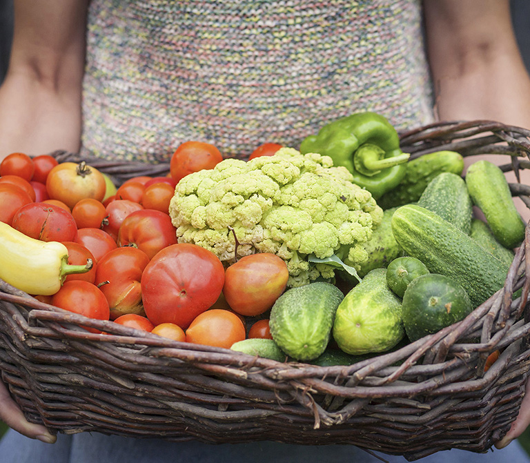 Few things are more rewarding than harvesting homegrown vegetables from ones - photo 2