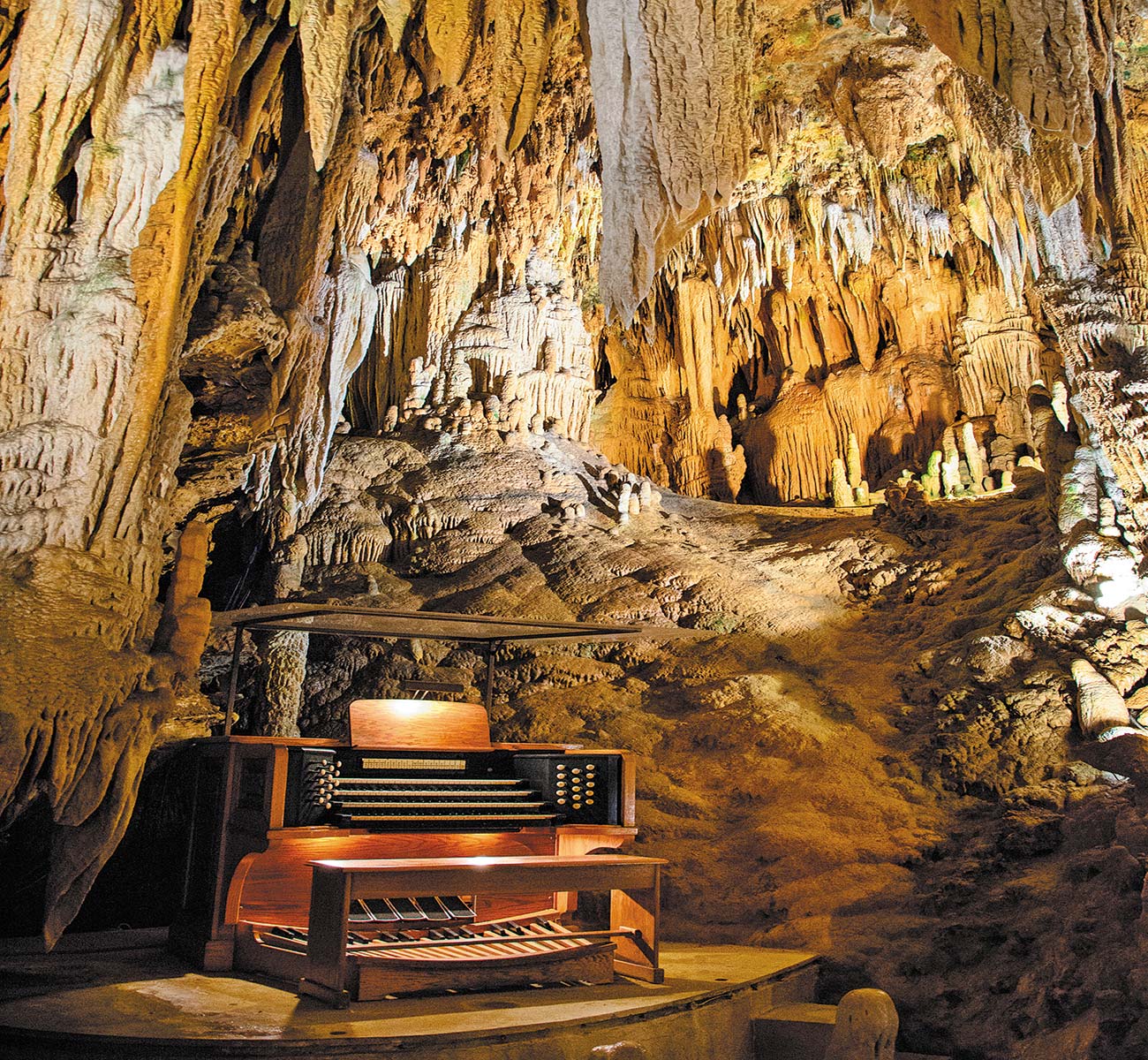 Luray Caverns visitors on the grounds of the Virginia Museum of Fine Arts - photo 9