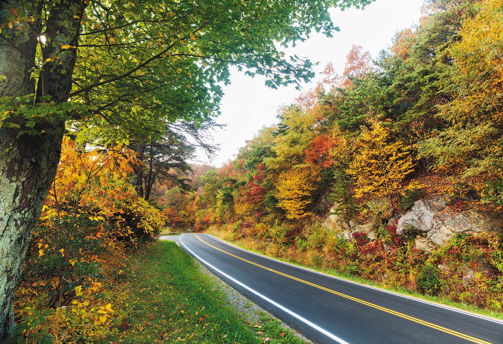 Take a Road Trip on This stunning 105-mile route runs along the mountain - photo 12