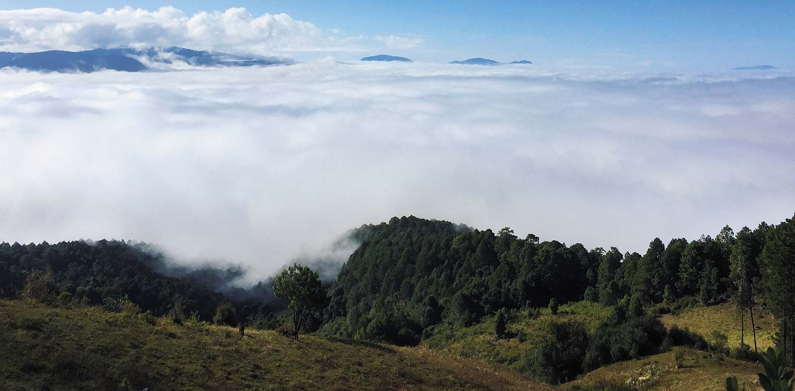 Nestled in the misty pine-scented peaks of the Sierra Norte these remote - photo 20