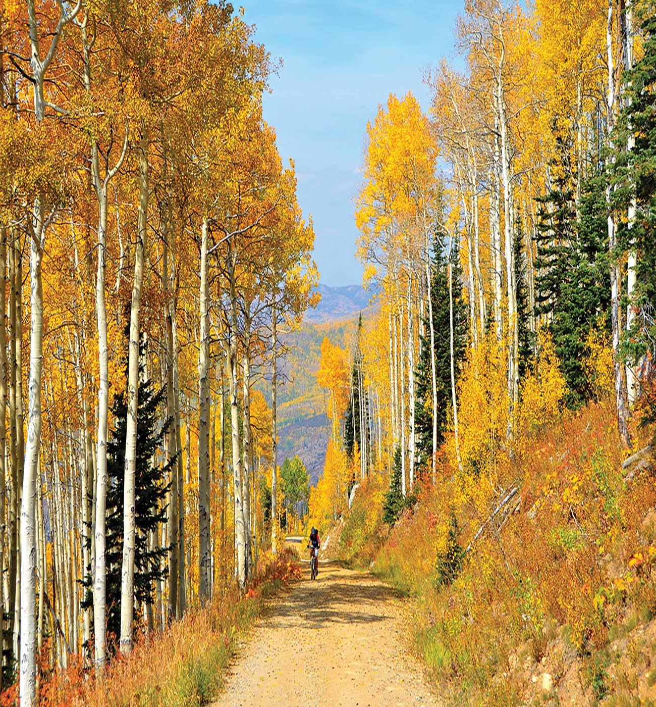 autumn in Steamboat Springs Ski and Snowboard Carve fresh - photo 14