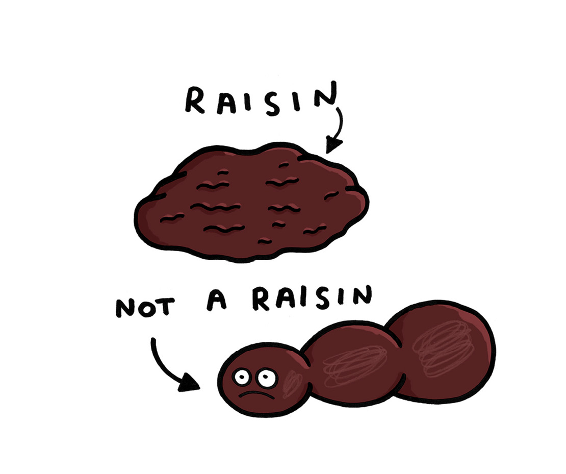 a man found a raisin in the woods what a funny looking raisin im not a - photo 6