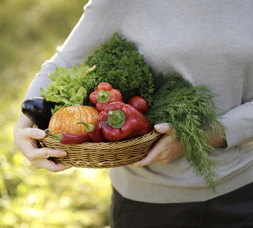 Few things are more rewarding than harvesting homegrown vegetables from ones - photo 1