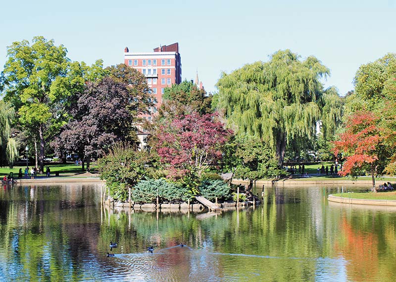 Boston Public Garden This array of seasonal plants and art installations is a - photo 13