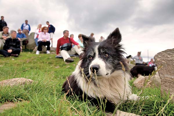 Rick Steves Snapshot Scottish Highlands - photo 2