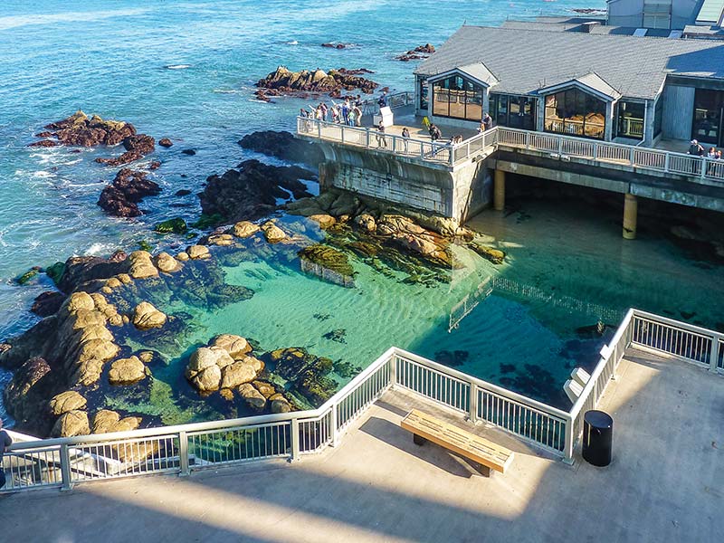 Monterey Bay Aquarium Gorgeous Monterey Bay is famous for its sealife best - photo 23